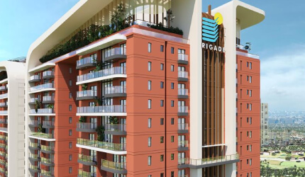 Image hover effect image