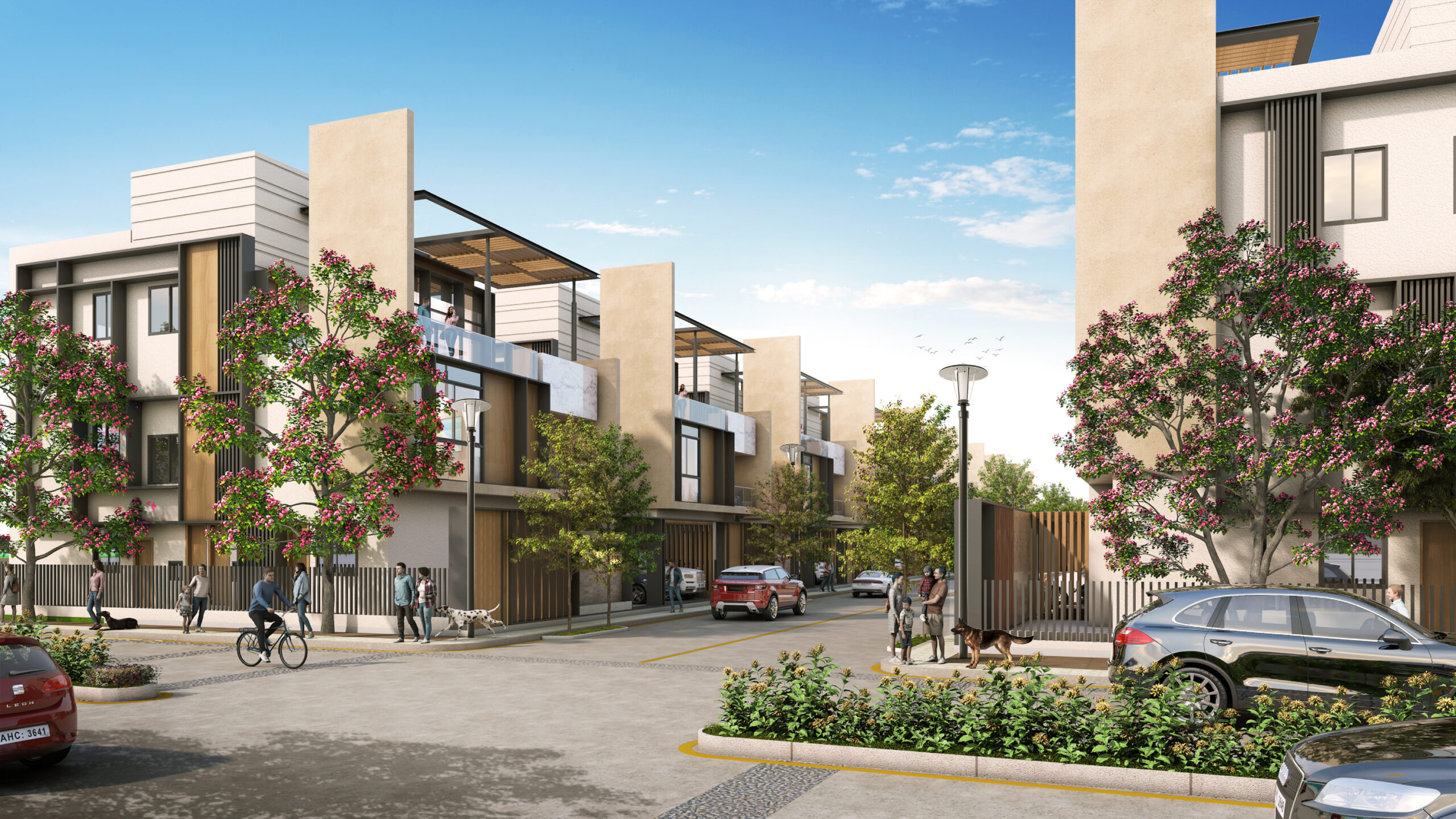 Image hover effect image